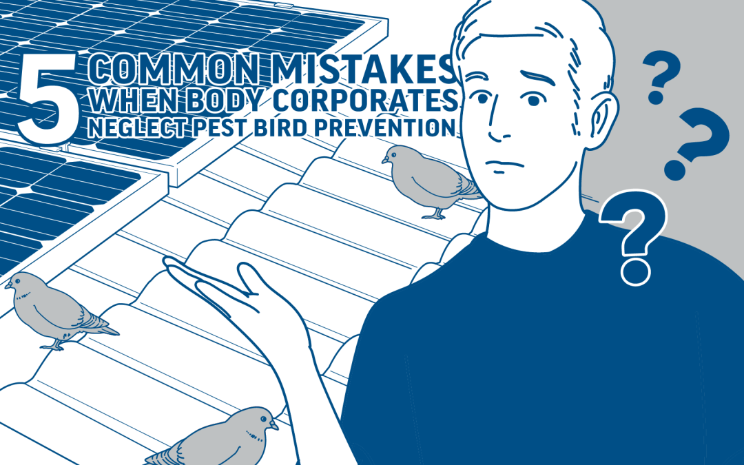 5 Common Mistakes When Body Corporates Neglect Pest Bird Prevention