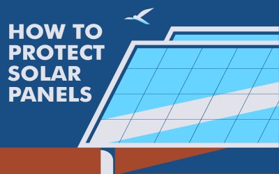 HOW TO PROTECT SOLAR PANELS