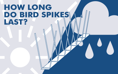 HOW LONG DO BIRD SPIKES LAST