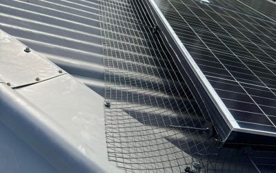 Which Solar Mesh Should You Choose?