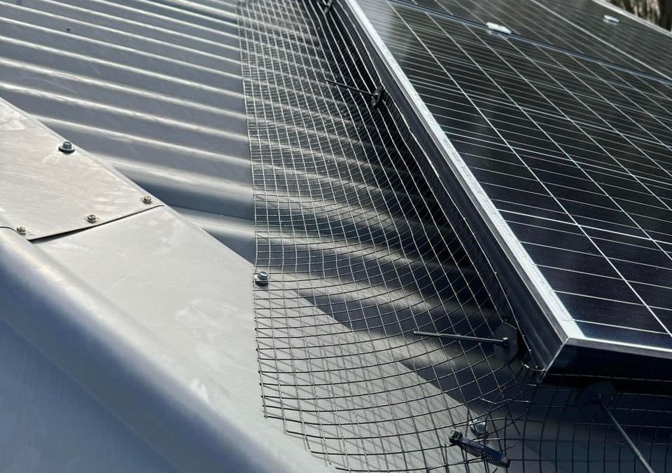 Which Solar Mesh Should You Choose?